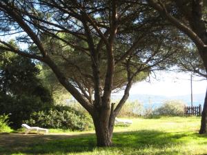 Villa Cavalaire-sur-Mer, 3 pièces, 7 personnes - FR-1-100-201
