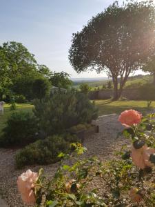 VILLA CHAMPAGNE