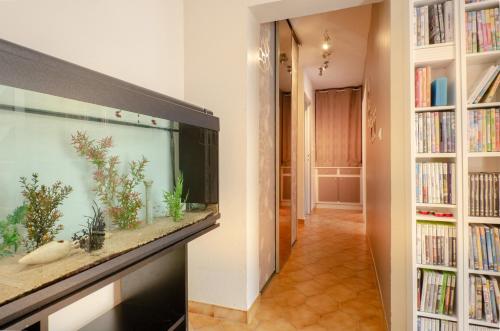 Villa climatisée avec piscine