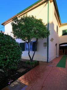 Villa Coimbra - Casa Inteira