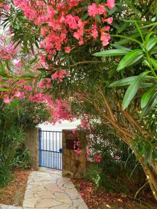 VILLA COLLIOURE