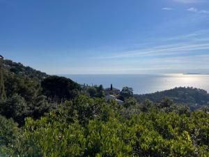 Villa contemporaine Rayol Canadel
