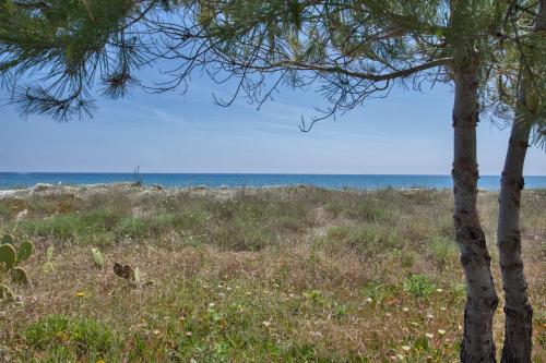 Villa d'architecte pieds dans l'eau 800m parc Galea
