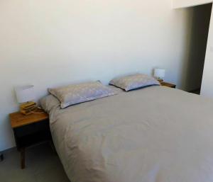 Villa de 3 chambres avec piscine privee jardin clos et wifi a Marseillan a 4 km de la plage