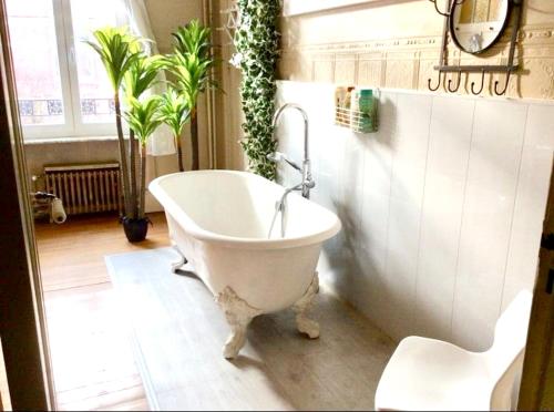 Villa de 5 chambres avec piscine privee jardin clos et wifi a Bailleul