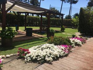 Villa De Lux with pool
