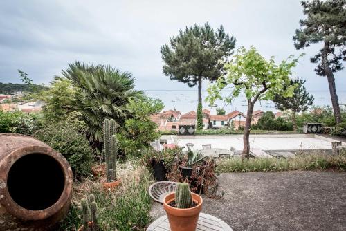 Villa des mimosas
