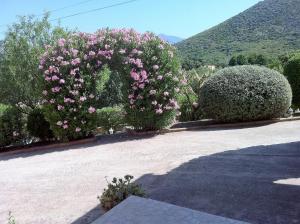 Villa Elofred