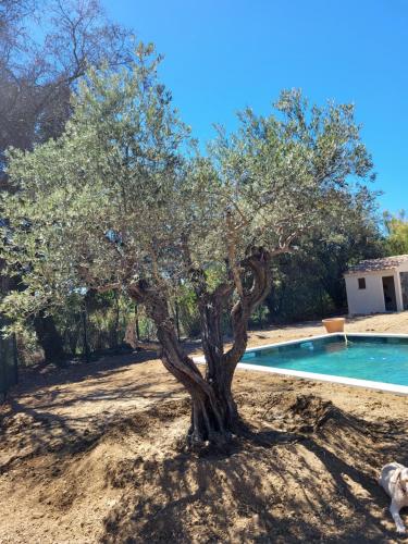 Villa Villa gitedelea 310 Chemin de Patin 84810 Aubignan Provence-Alpes-Côte d\'Azur