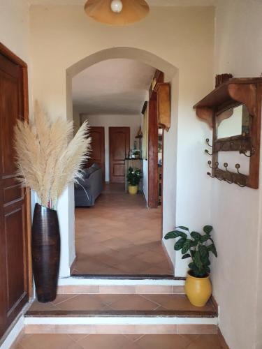 Villa individuelle au coeur des vignes