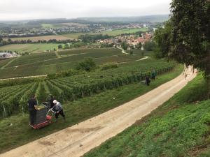 Villa l'INSOUCIANCE en Champagne
