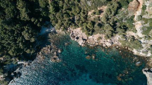 Villa la Bastide - French Riviera on the waterfront