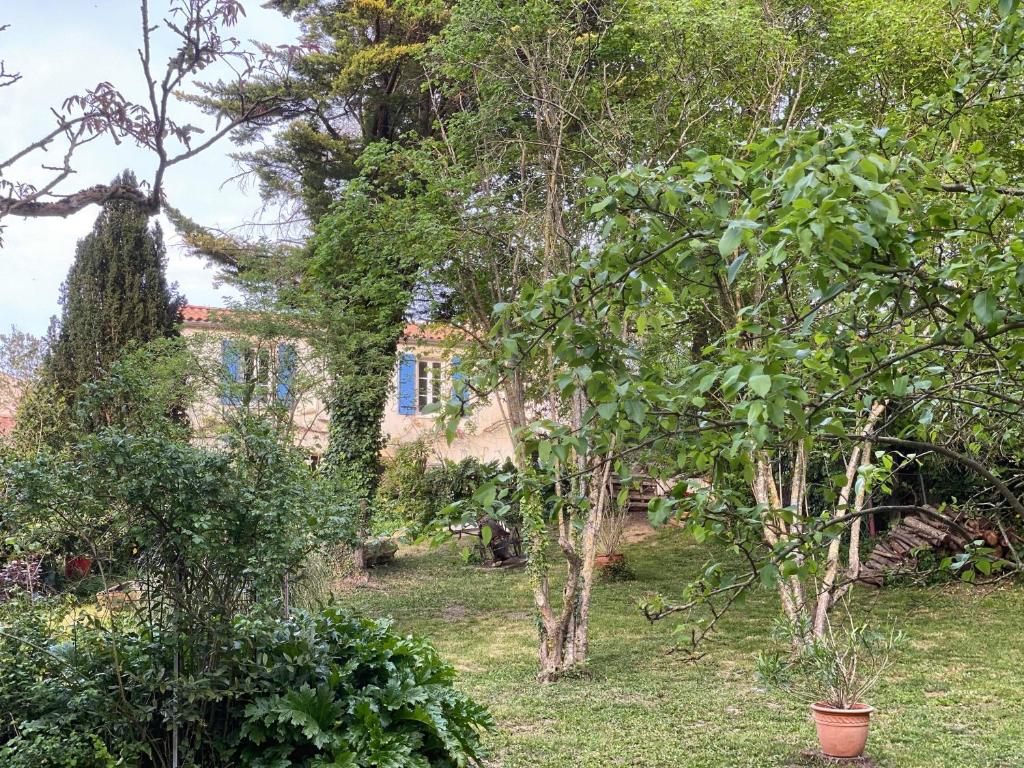 VILLA LA LICORNE Piscine privée, Jacuzzi, Massages, Tennis, Golf à 11km 13720 Belcodène