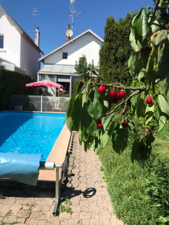 Villa La Résilience - Piscine - Parking - Wifi 83600 Les Adrets de Frejus