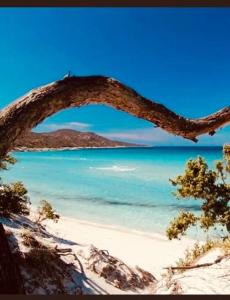 Villa Le Corail Rouge - Corse du sud