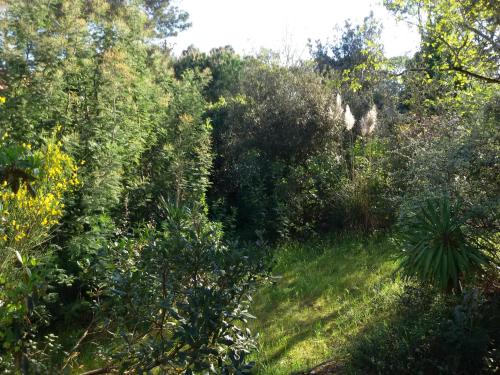 Villa Le Ranou