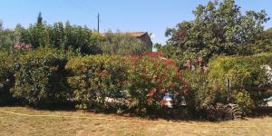 Villa les oliviers