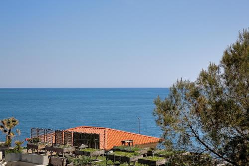 Villa Les Pins du Cap - Vue mer - Cap d'Antibes