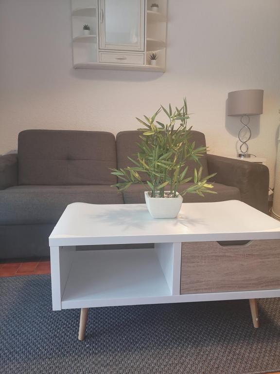 VILLA LES PINS 83980 Le Lavandou