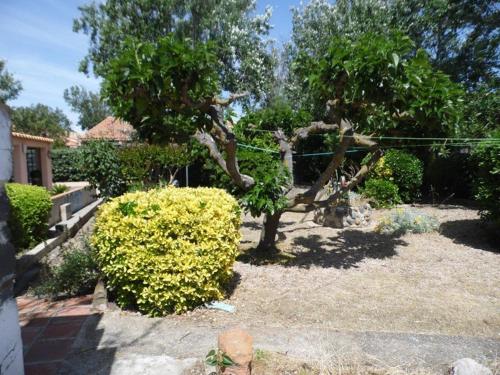 Villa Marseillan-Plage, 5 pièces, 10 personnes - FR-1-326-426
