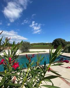 Villa Masada seasonal rental Ardèche-Provençale