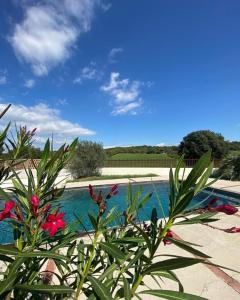 Villa Villa Masada seasonal rental Ardèche-Provençale 275 Route d'Ellieux 07220 Larnas Rhône-Alpes