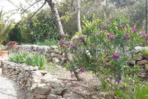 Villa Villa méditerranéenne : piscine, garrigue et mer ! 16 Impasse du Ht des Combes 34160 Castries Languedoc-Roussillon