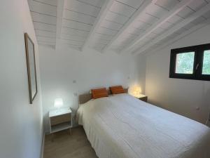 Villa Moliets-et-Maa, 5 pièces, 8 personnes - FR-1-379-147