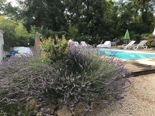 Villa OHA