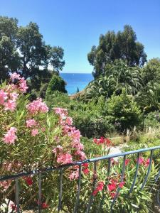 Villa Olivea