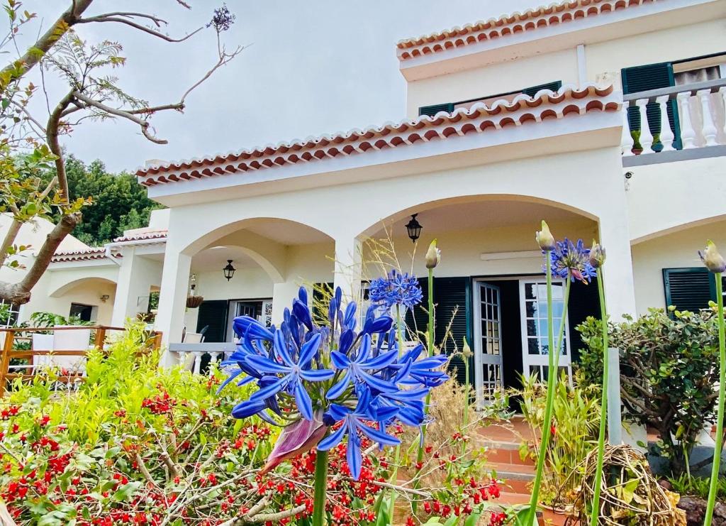 Villa Paraiso - Traumgarten, Meerblick, Wandern und Golf 61 Vereda de São João Latrão, 9060-298 Funchal