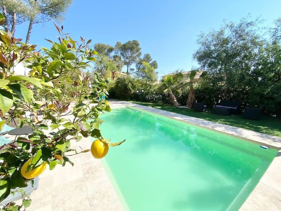 Villa VILLA PIERLOU Piscine proche mer pour 6/7 pers 177 Avenue des Tamaris 83700 Saint-Raphaël