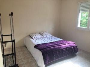 Villa plein pied rez-de-chaussée+1 avec dépendance