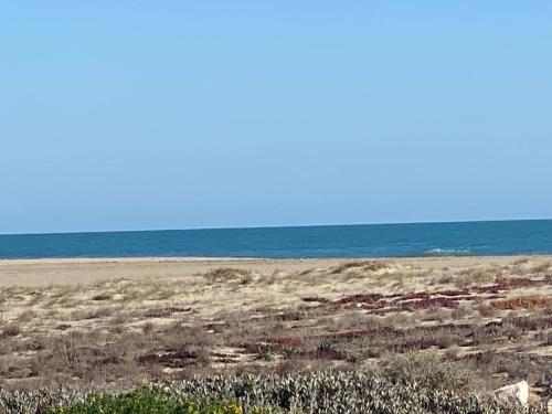 Villa Port Leucate, 3 pièces, 6 personnes - FR-1-81-582