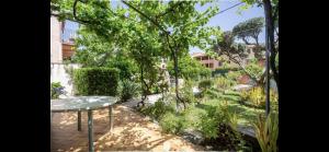 Villa Villa rosier avec magnifique jardin 13 Impasse Etienne 83120 Sainte-Maxime Provence-Alpes-Côte d\'Azur