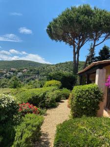 Villa Villa Sans Pareil 7 Corniche des Rochers Blancs 83420 La Croix-Valmer Provence-Alpes-Côte d\'Azur