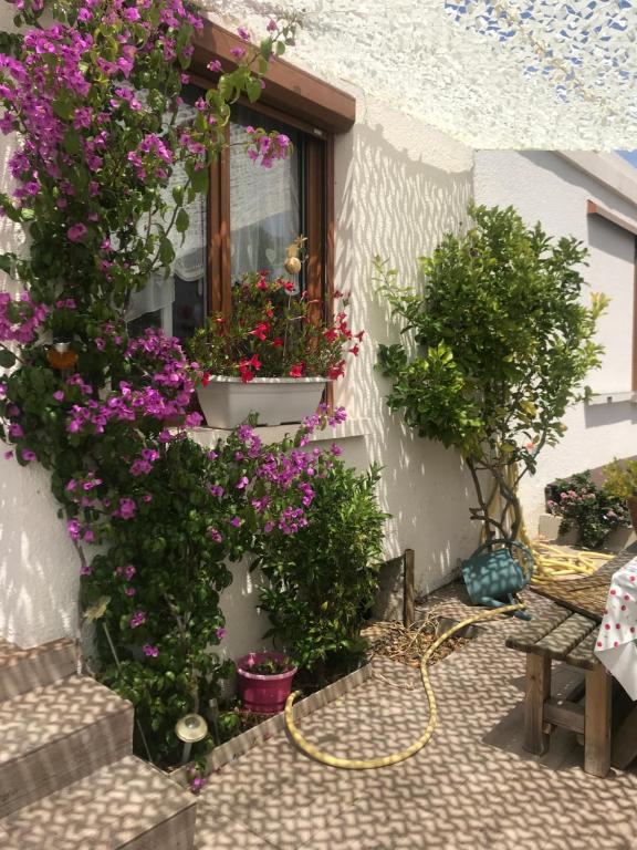 Villa Vallon-Clos