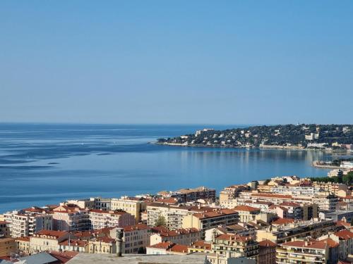 Villas exceptionnelle , vue mer Menton