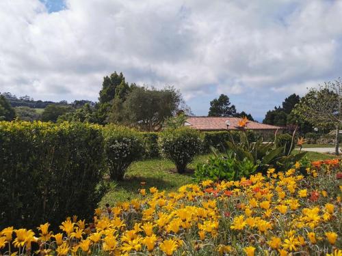 Vitorino Deluxe