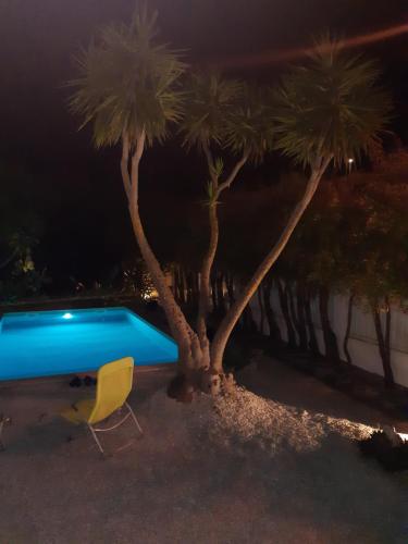 Yuccas House
