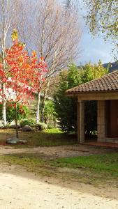 Village vacances Bungalows serra do Gerês Rua da Cerdeira, 250 4840-030 Campo do Gerês Région Nord