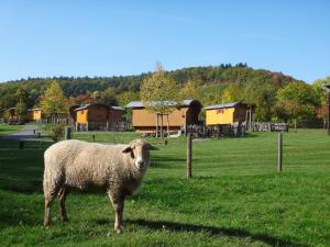 Erlebnispark Tripsdrill Natur-Resort