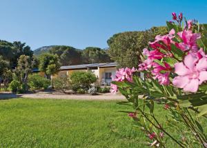 Village vacances Feriendorf zum störrischen Esel 197, Route Nationale 20260 Calvi Corse