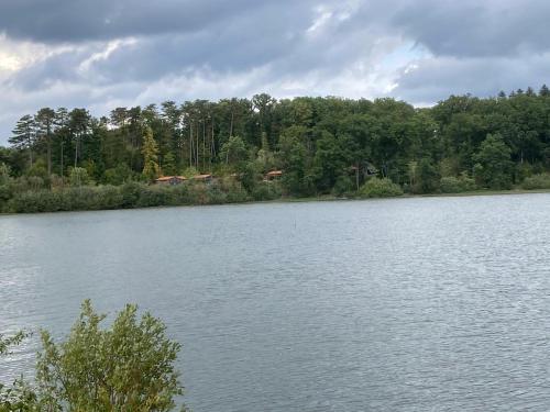 Les chalets du Lac - Passavant-La-Rochère