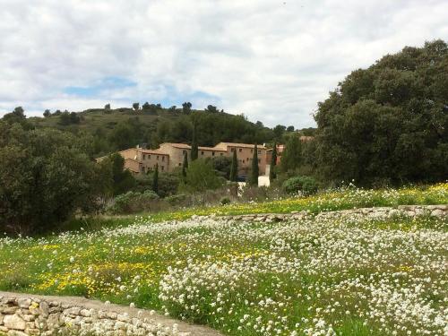 Les Garrigues de la Vallée des Baux