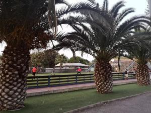 Meublé de tourisme 6/8 pers bord de mer sur camping 4*