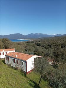 MIRA MONTI