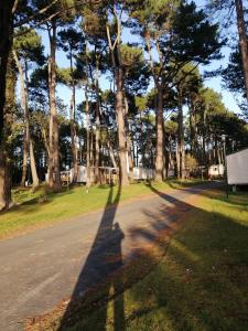 Mobilhome 6/8 personnes Piriac sur Mer