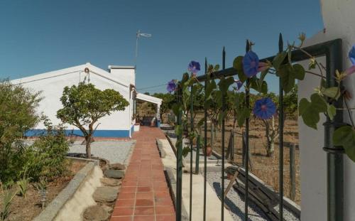 Monte da Mesquita