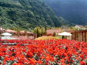 Village vacances Pestana Quinta do Arco Nature & Rose Garden Hotel Arco De São Jorge 9280-230 Arco de São Jorge Madère